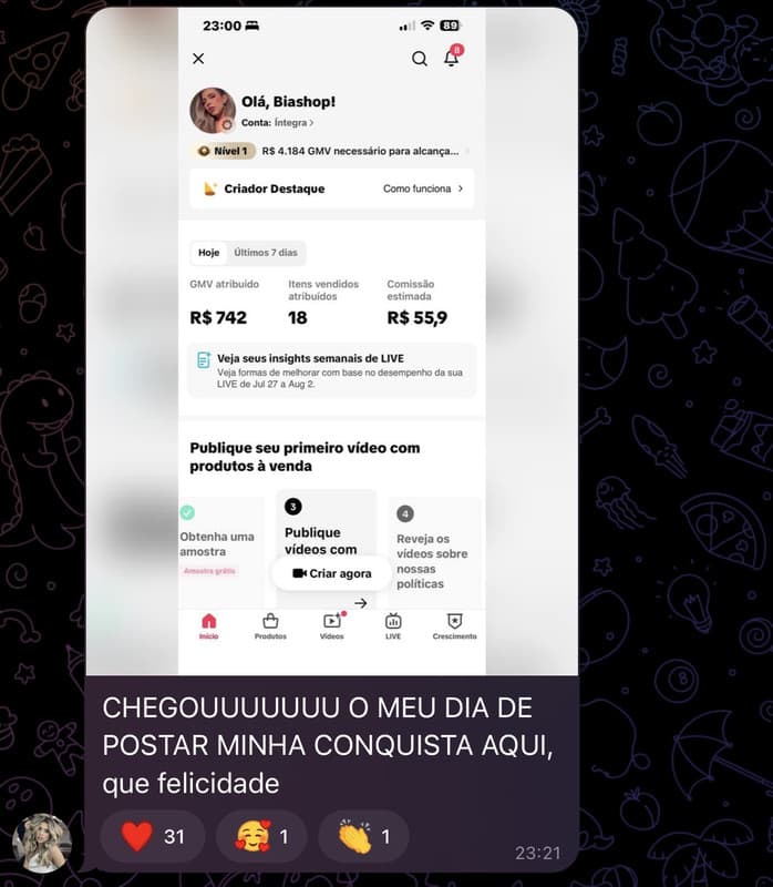 Print de resultado de aluno